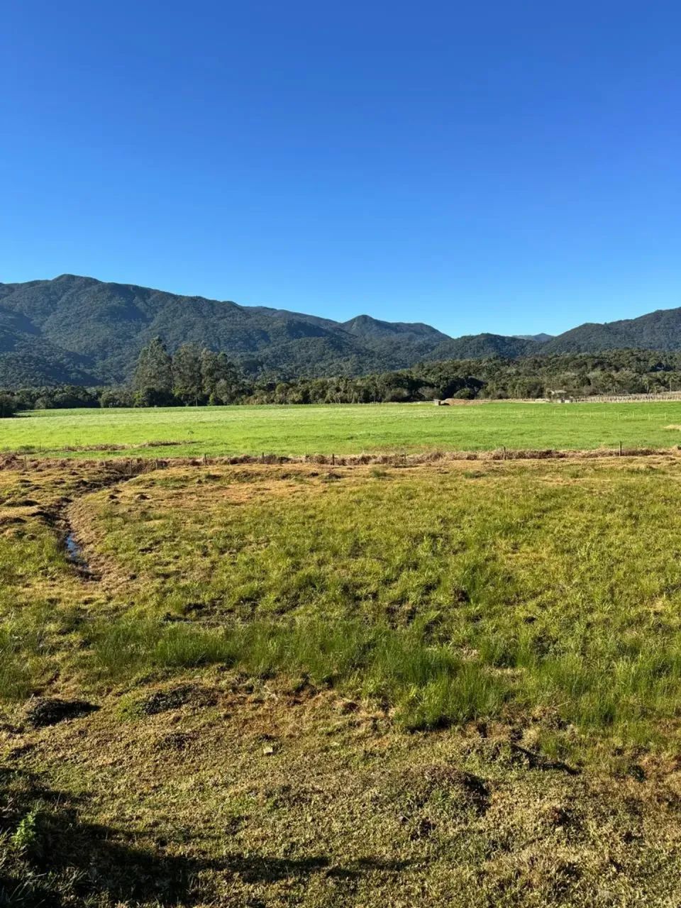 Sitio em Santo Amaro da Imperatriz - SC - Foto 3