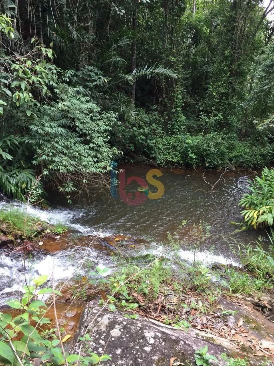 VENDO FAZENDA  ITAGI/BA - Foto 4