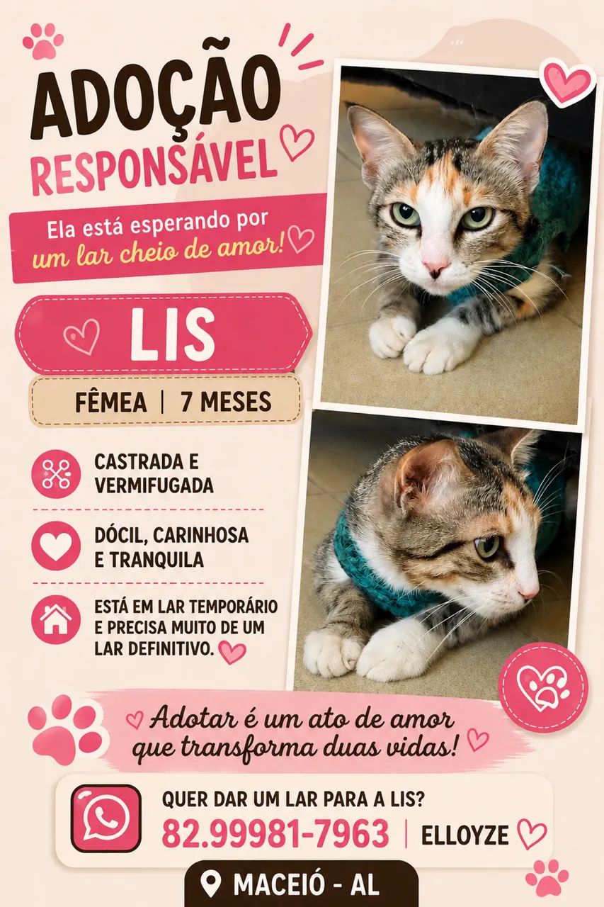 Adoção Responsável 