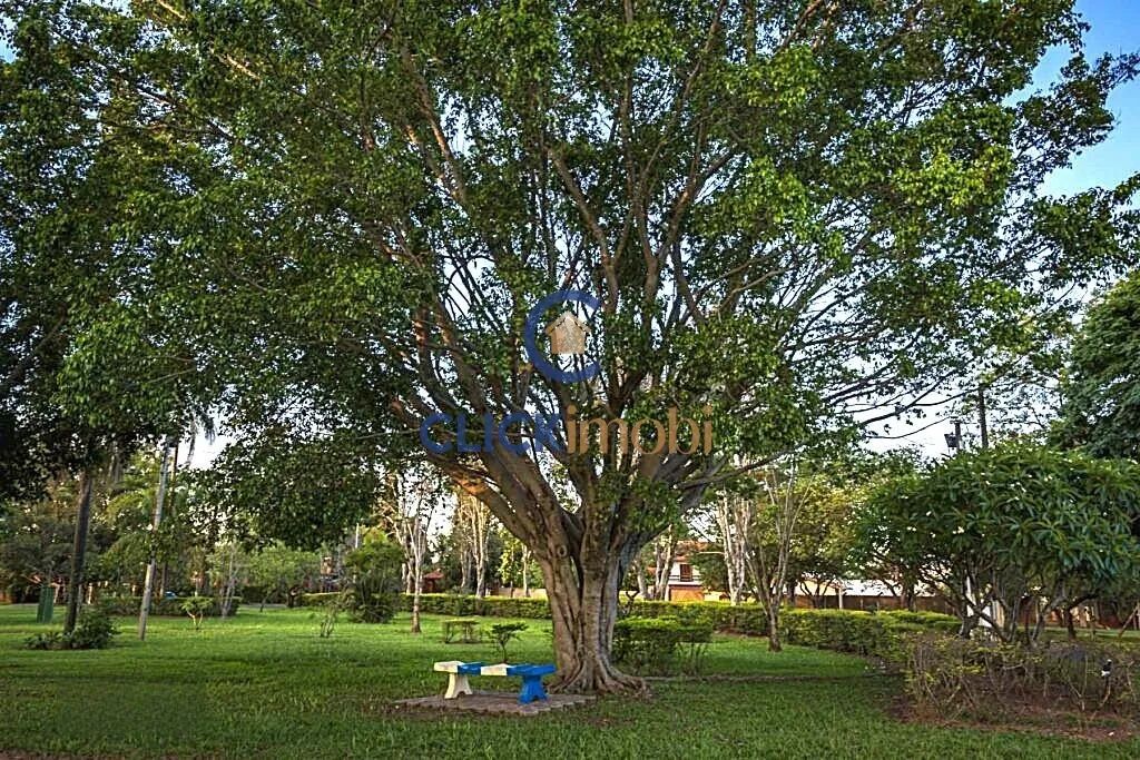 terreno - Parque Xangrilá - Campinas - Foto 5