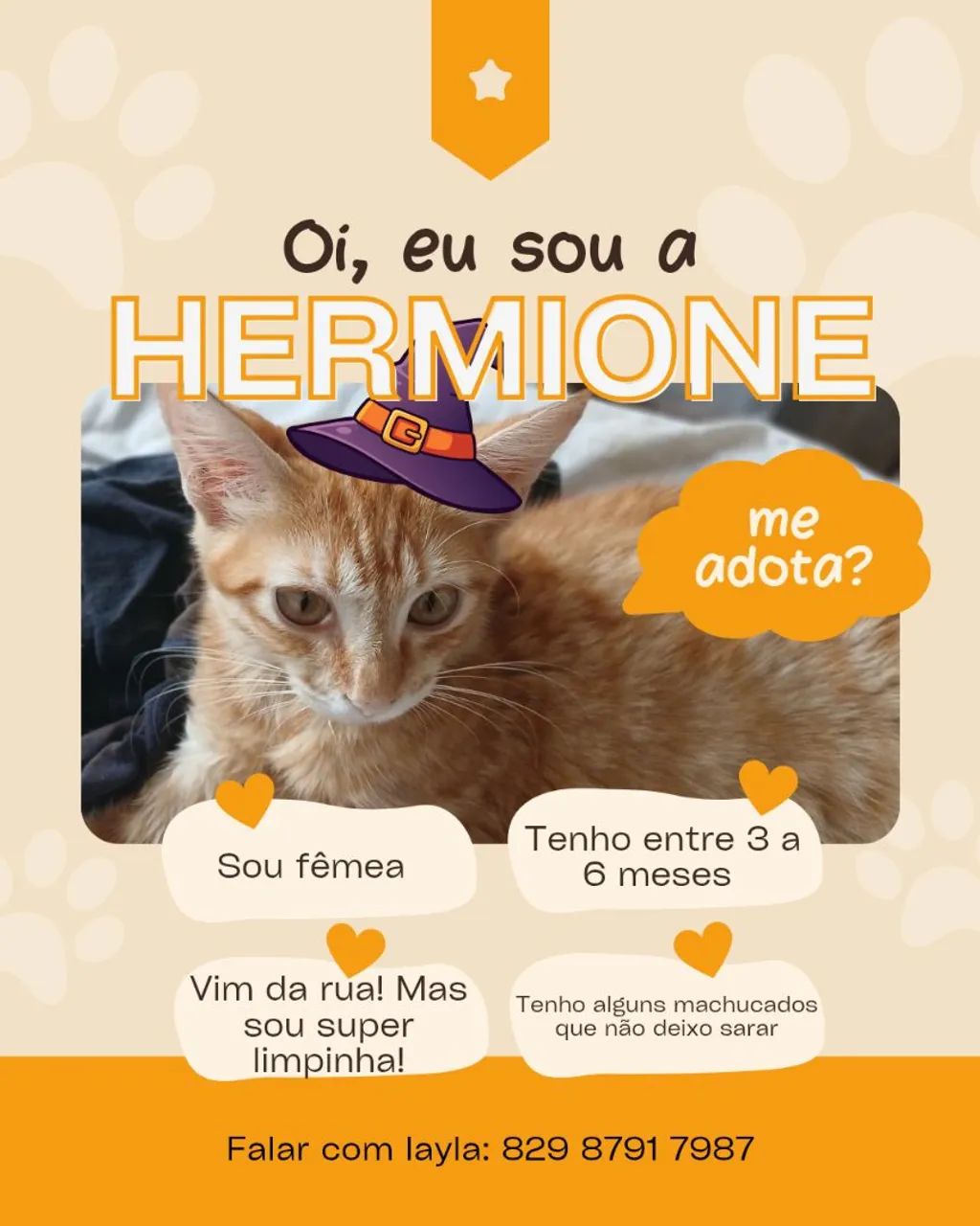 Adoção de Hermione!! 