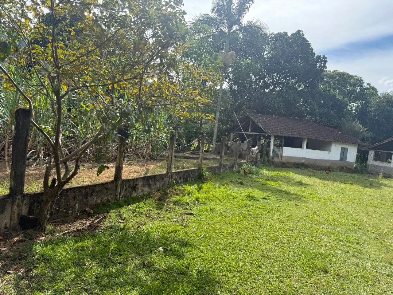 Fazenda em Conceição de Macabu  - Foto 4