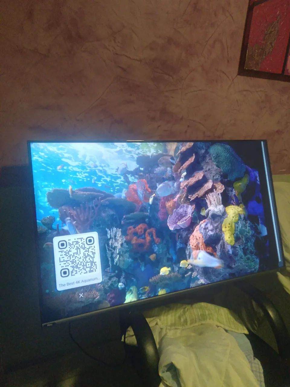 TV PHILCO 55" LED422080450020003842