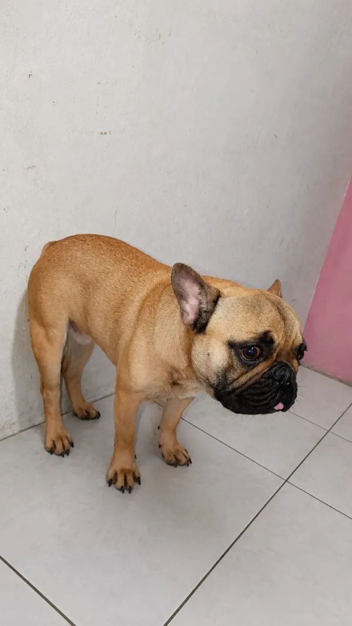Vendas