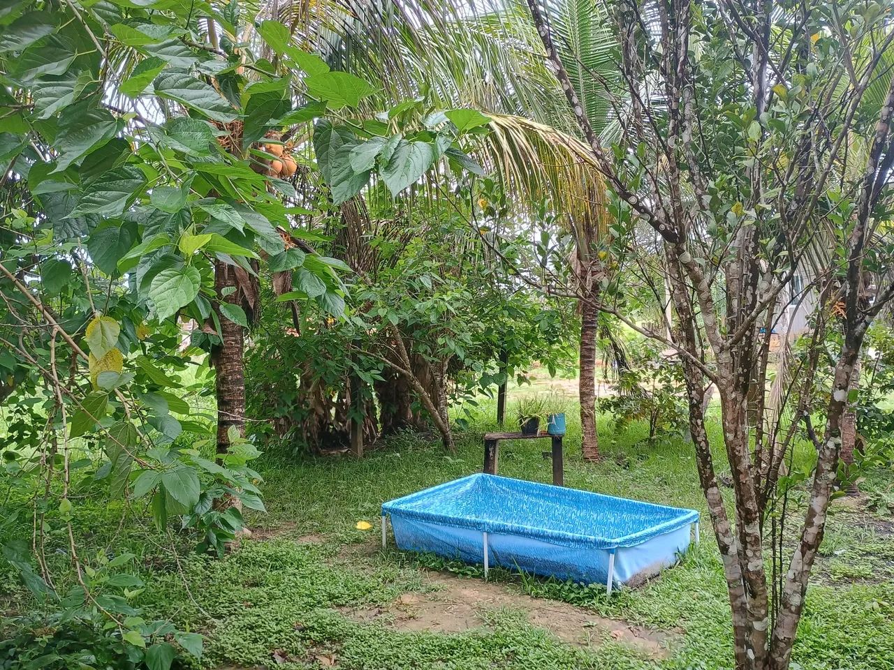 Casa a venda oferta!!! - Foto 3