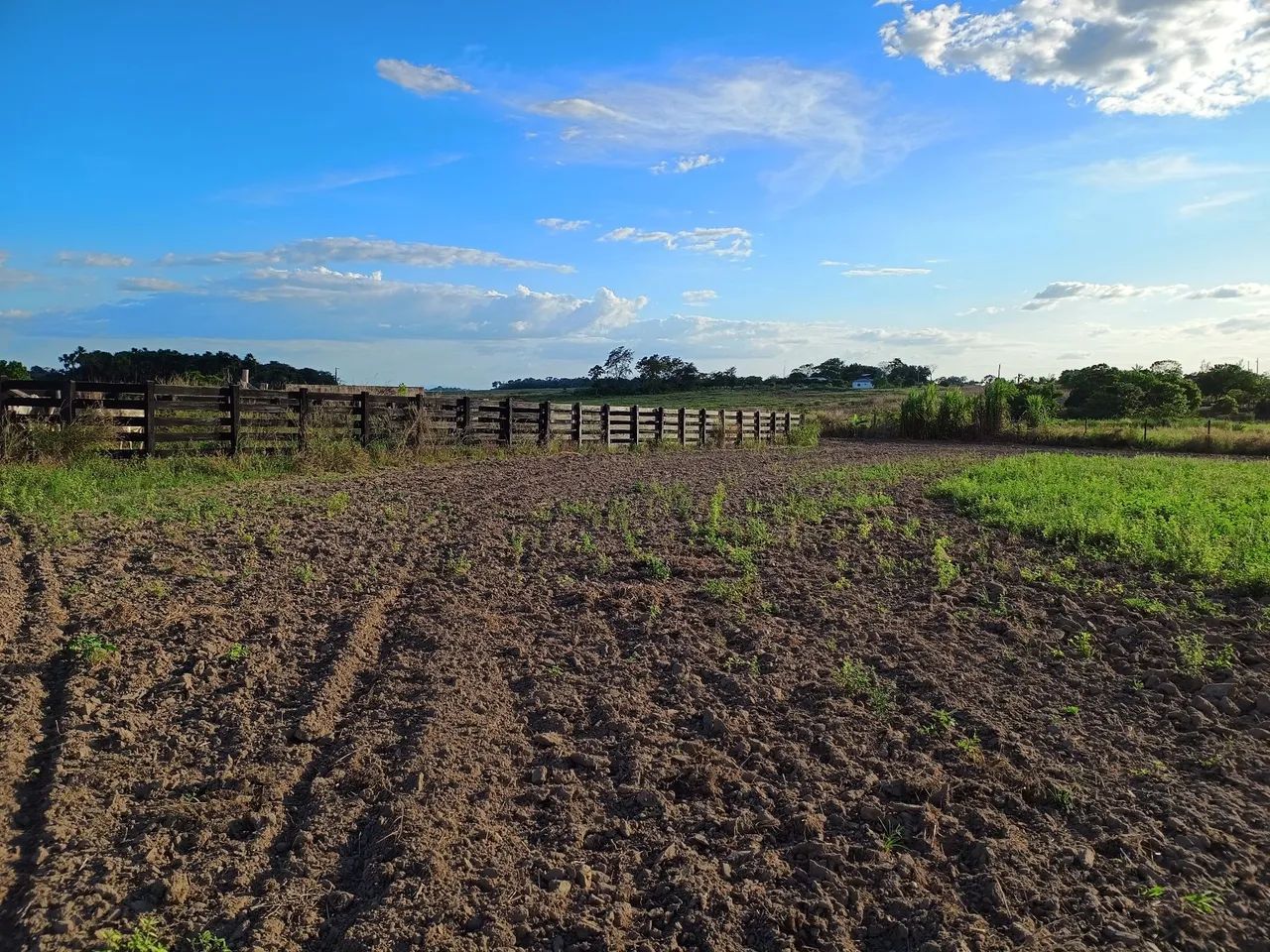 Fazenda Alto Padrão - Foto 4