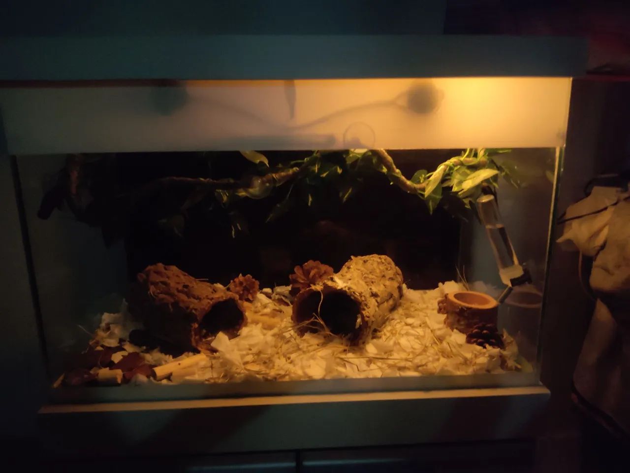 Aquário ou terrário 