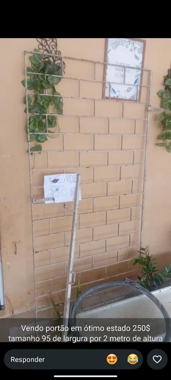 Vendo grade de porta 