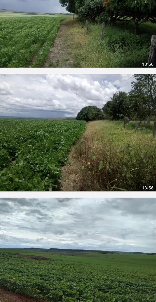 Fazenda em Sacramento altitude pra café ?  - Foto 5