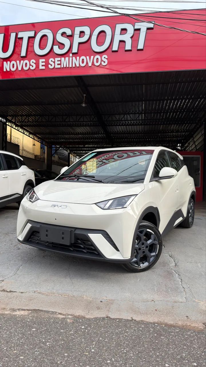 BYD Dolphin Mini (Elétrico) 2027