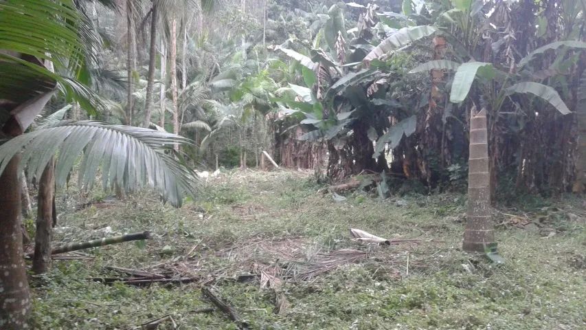 Terreno Escriturado com 3.610m² - Foto 3