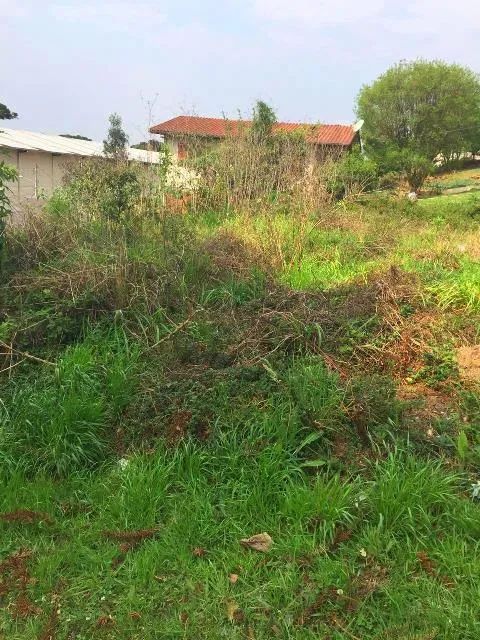 Terreno Comercial - Bairro Centro - Foto 3