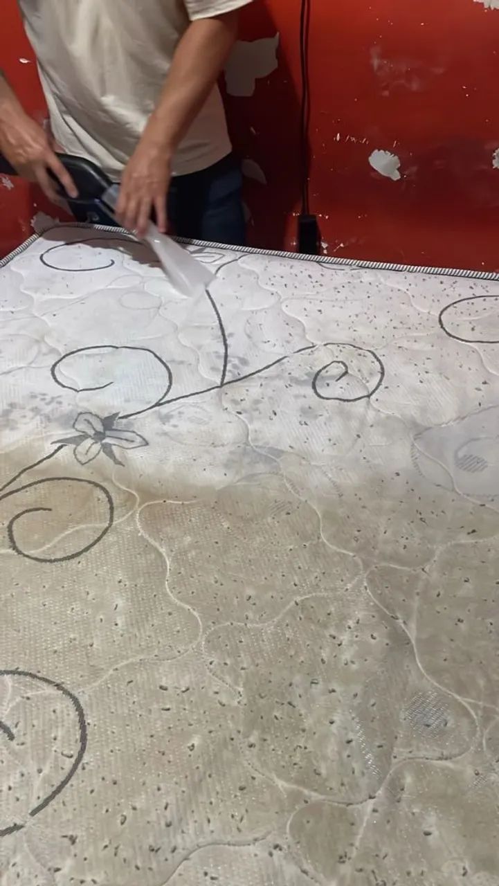 Higienização profissional  - Foto 3