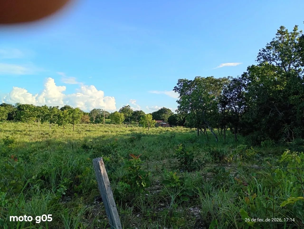 SÍTIO BARATO COM TERRA BOA  - Foto 3