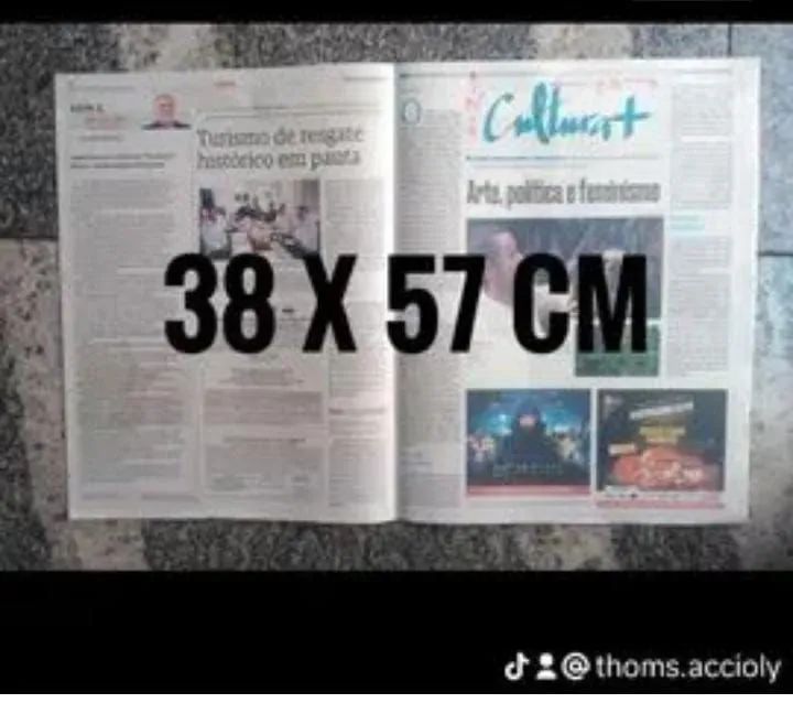 JORNAL HIGIÊNICO PARA PET - Foto 5