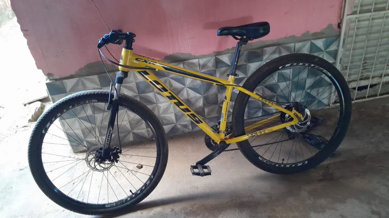 Bicicleta lotus  - Foto 2