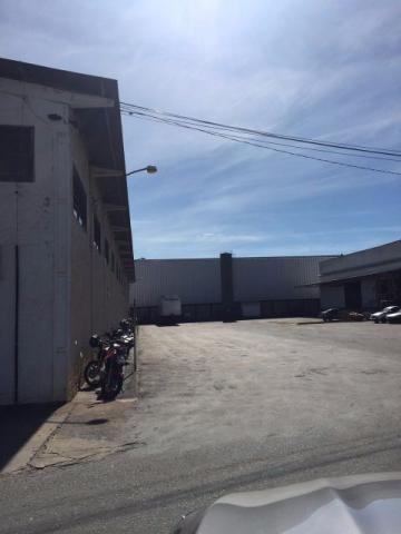 Galpão Condomínio Fechado c/ e Sem Doca - Anel Viário - Saída P/ Rio Verde - Foto 6