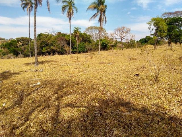 Chácara Aragoiânia, 14,65 alqueires, (71,71 hectares), - Foto 17