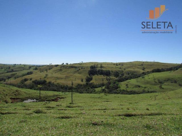 Fazenda- Venda- 8km da BR 277 - Foto 7