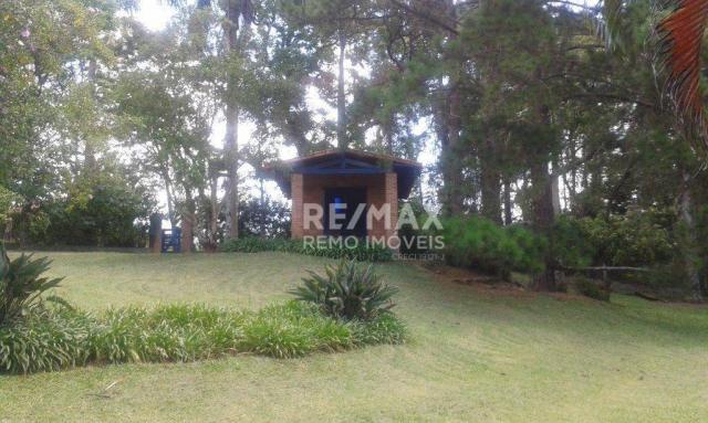 Chácara residencial para locação, caixa d'água, vinhedo. - Foto 6