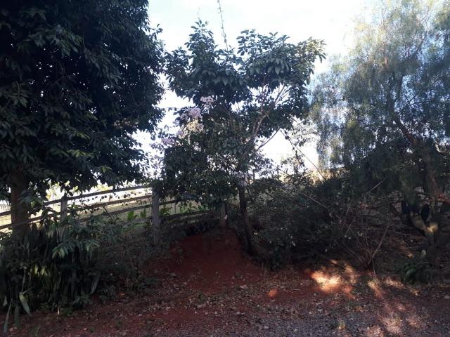 Excelente sítio de 8,64 hectare em Ponto Chic (Patos de Minas/MG) - Foto 15