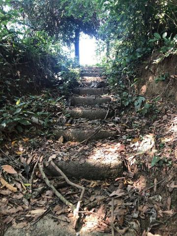Chacara em Sto Antonio Leverger 110metros de Beira de Rio C/Tanque de Peixes Arvores Fruti - Foto 16