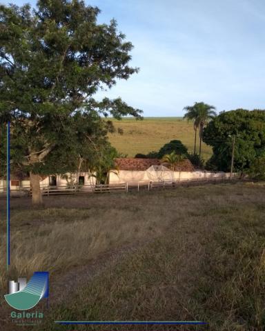 Sítio à venda em Zona rural, Araxa cod:FA01046 - Foto 19