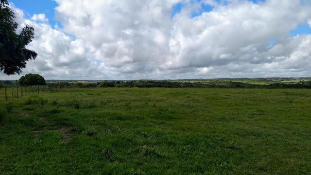 Fazenda em Monte Alegre - Com 80,52 Ha -Com Açude - Foto 3