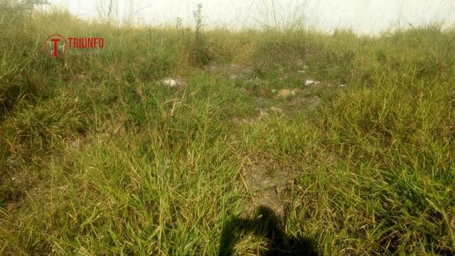 Lote de 420 m² a venda no bairro Adeodato - Santa Luzia - Cód 867 - Foto 2