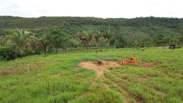 Sítio 19,5 ha em serra de são vicente - Foto 7
