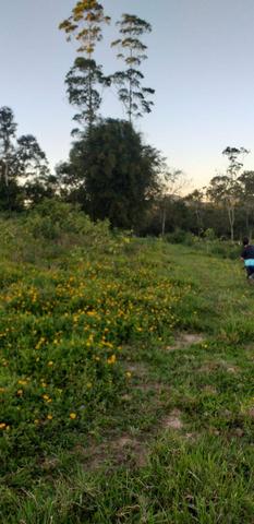 Lindo terreno no sítio - Foto 4
