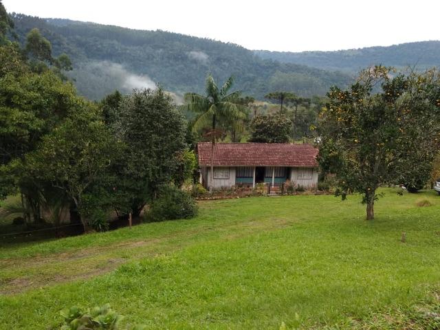 Lindo sítio em Itaiópolis - Foto 5
