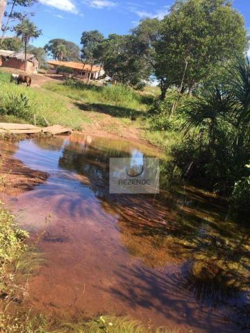 Fazenda com - 88 alqueires - R$ 3.000.000 - Miracema do TO. - Foto 8