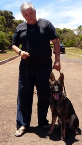 Adestramento e venda de cães de guarda prontos - Foto 4