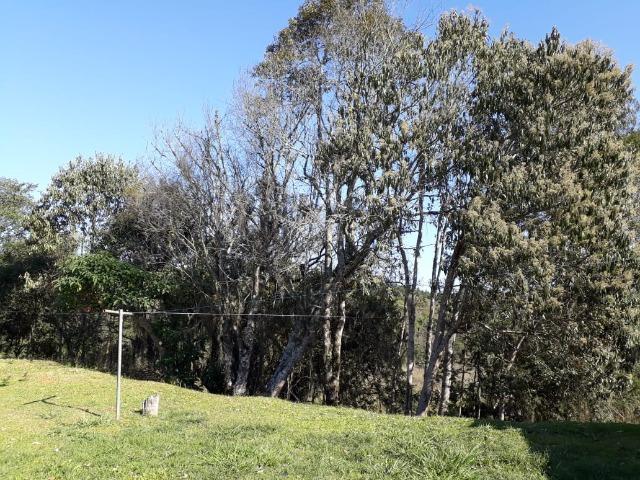 Chácara em Contenda -São José dos `Pinhais - Foto 12