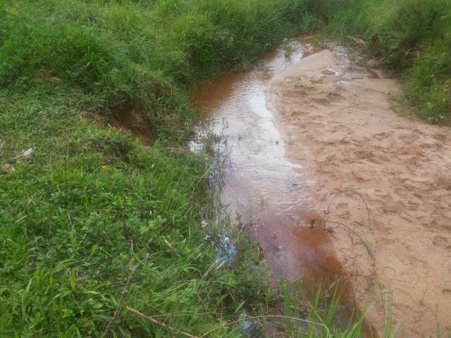Propriedade rural com 140 HEC - Foto 5
