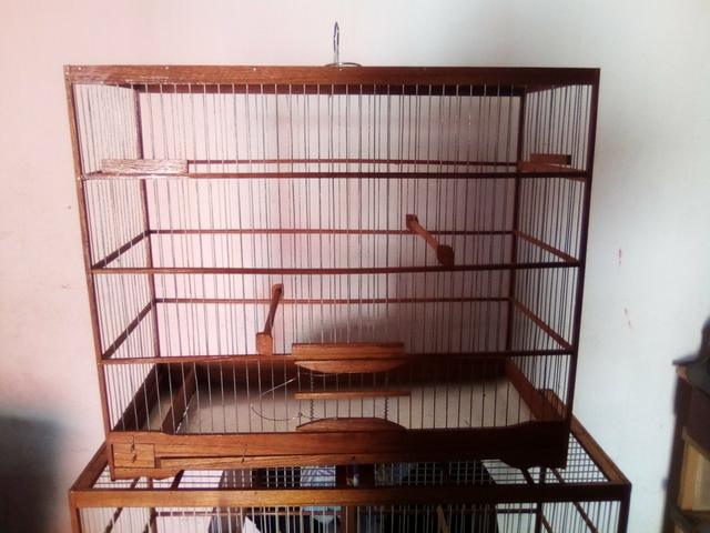 Vendo gaiola