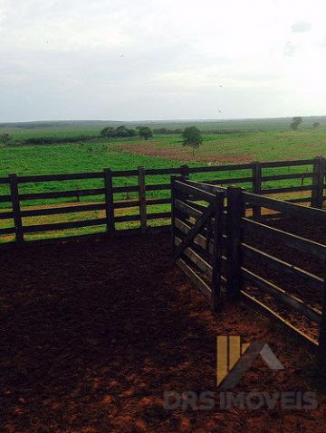 Rural fazenda - Bairro Centro em Corrente - Foto 8