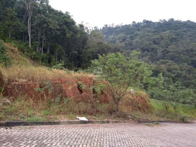 Terreno residencial - águas claras - loteamento independência - Foto 2