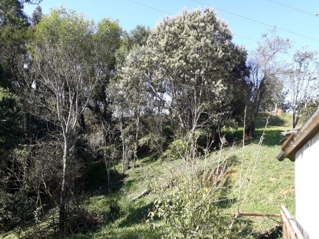 Chácara em Contenda -São José dos `Pinhais - Foto 6
