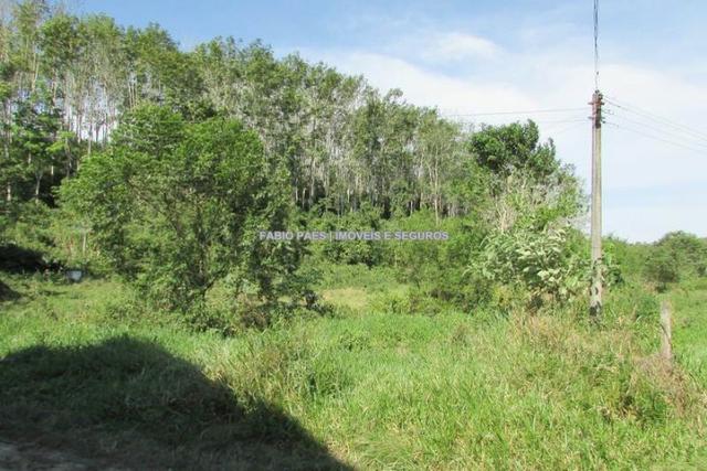Fabio Paes Imóveis - Fazenda 28 alq - luxo - Oportunidade!!! - Foto 11