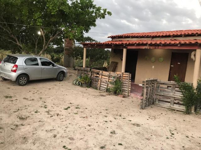 Sítio de 60Hectares a 13Km da Cidade do Buriti dos Lopes. (140mil) - Foto 6