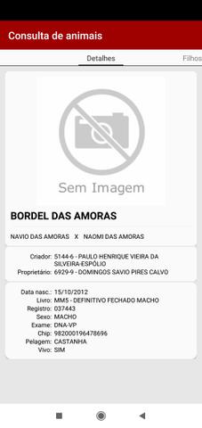 Bordel das Amoras - Foto 6