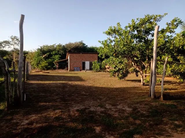 foto - São Luís - Área Rural de São Luís