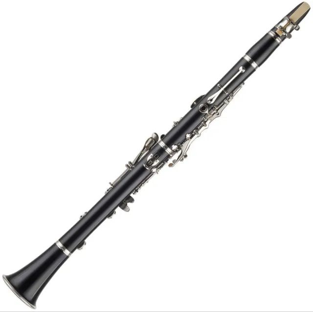 Clarinete Schieffer Schcl-001e - Novo - aceito trocas - parcelamos 18x (consultar) - Foto 3