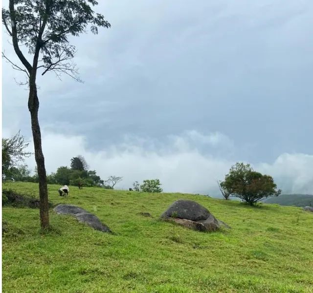 Excelente Propriedade Grande Terreno em Área Urbana