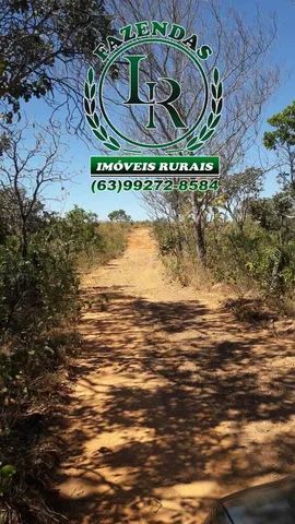 Fazenda 679 Alqueires Dupla Aptidão Estado Tocantins - Foto 2