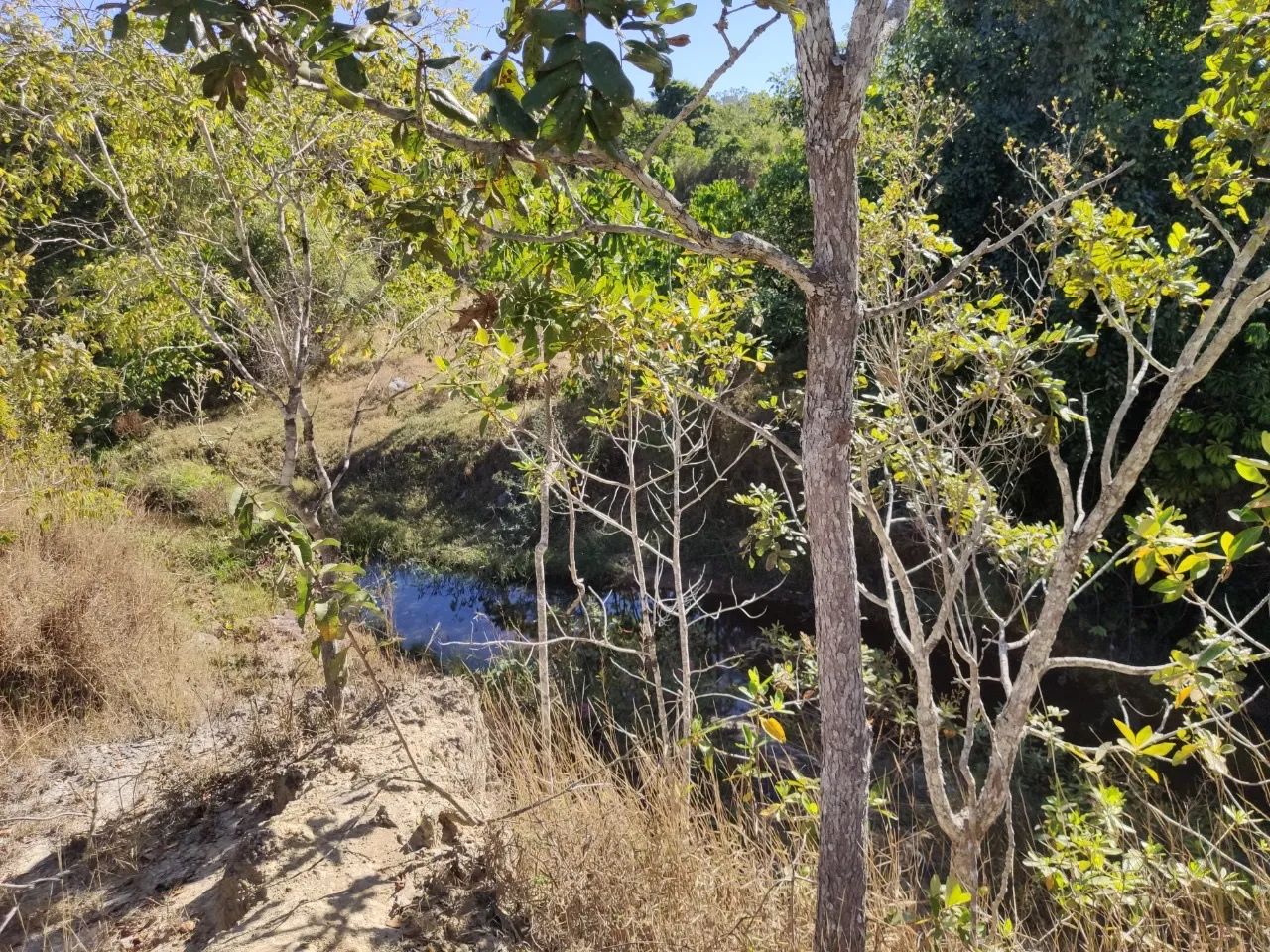 foto - Brasília - Norte (Águas Claras)