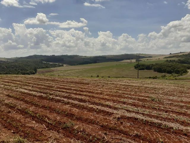Sitio de 31 alqueiro 28 planta  - Foto 3