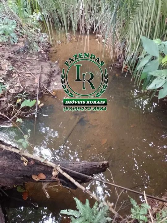 Chácara/Fazenda 11 alqueires  Próximo a Palmas - Foto 9